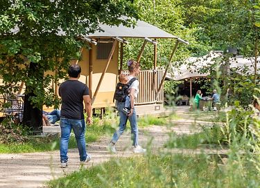 Luxe glampingtent in het bos met buitenbad - 34