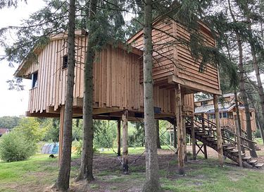 Tree Villa for 4 persons in Drenthe - 2