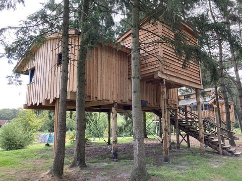 Tree Villa for 4 persons in Drenthe - 2