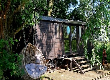 Prachtig Tiny house in Gelderland - 5