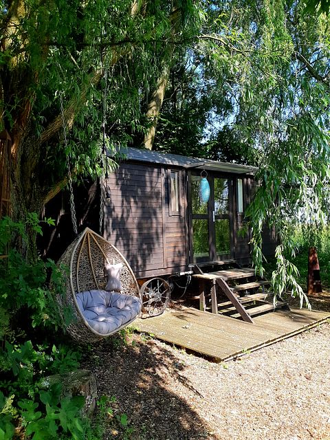 Prachtig Tiny house in Gelderland - 5
