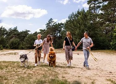 Villa op de Veluwe met zwembad en wellness - 52