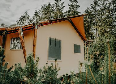 Safari lodge op unieke plek in Nederland - 12