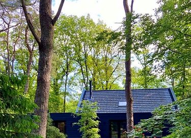 Design boshuis midden in de natuur - 25