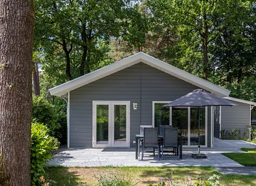 Ferienhaus in den Wäldern der Veluwe - 3