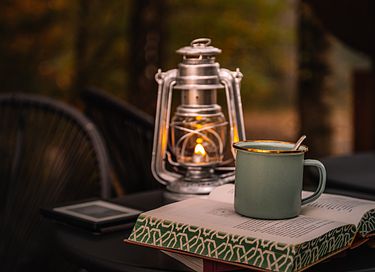 Luxuriöse Wald-Lodge  - 31