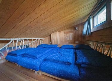 Houten natuurhut in een bosrijke omgeving - 10