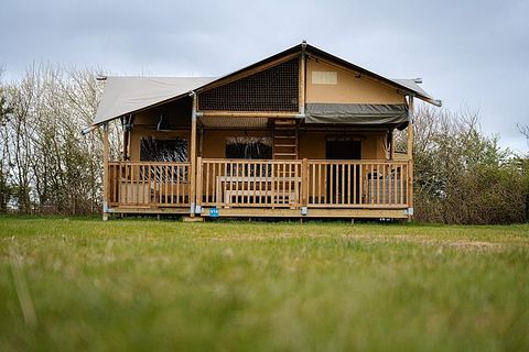 Prachtige familiecamping op Ameland - 4