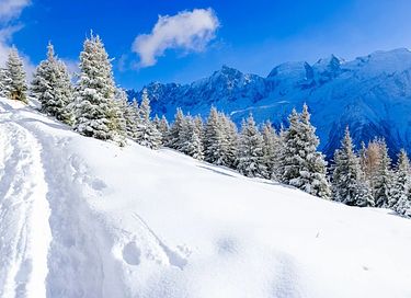 Geniet van uitzicht en comfort bij Mont Blanc - 40