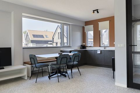 Cozy stay in Zeeland -Pet allowed - 4