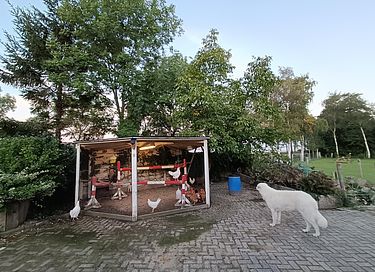 Einzigartiges Glamping Armeezelt mit Whirlpool und Ofen - 30