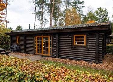 Rustic log cabin in the Veluwe