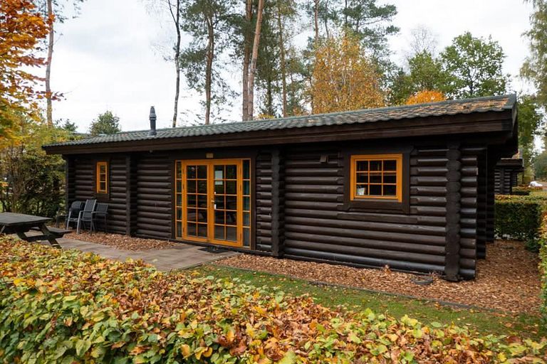 Chalet rustique dans le Veluwe - 1