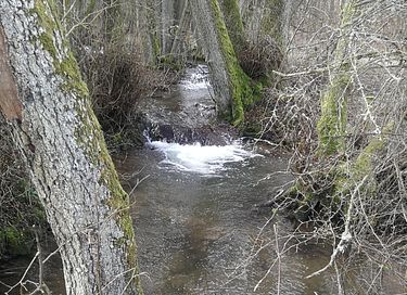 Ruhig gelegenes Jagdhaus in der Eifel - 18
