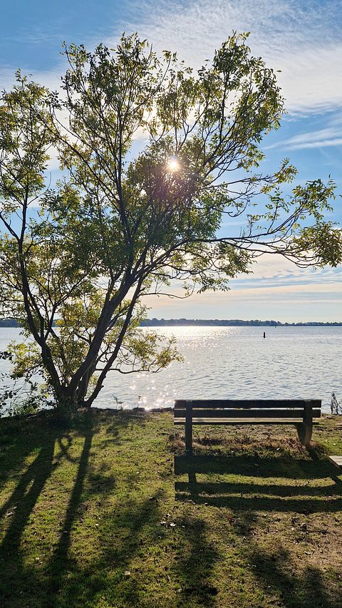 Zirkuswagen mit Seeblick in Yachthafennähe - 4