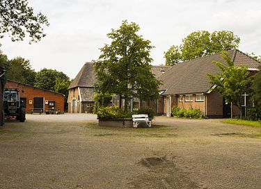 Knus tenthuisje tussen de bomen  - 28
