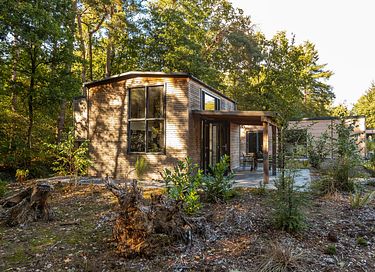 tiny house confortable dans une région boisée - 13