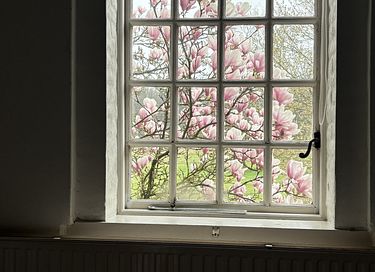 Cottage in der alten Orangerie eines Schlosses - 23