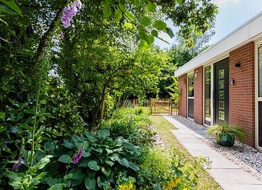 Knusse bungalow in het bos (hond welkom) - 29