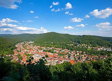 Sfeervol vakantiehuis met sauna in de Harz - 31