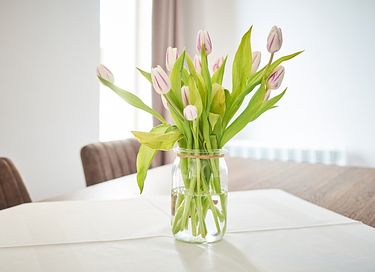 Ferienwohnung mit Terrasse in grüner Umgebung - 6