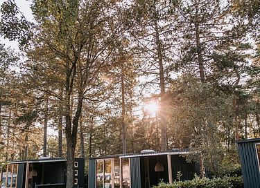 Tiny House met terras (hond toegestaan) - 16