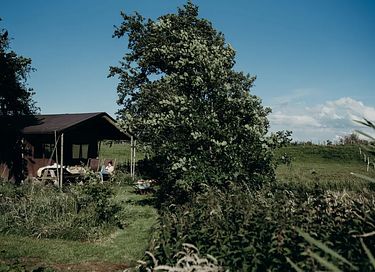 Bauernhofurlaub im holländischen Polder - 2