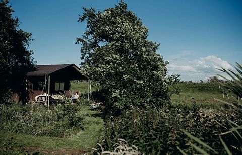 Bauernhofurlaub im holländischen Polder - 2