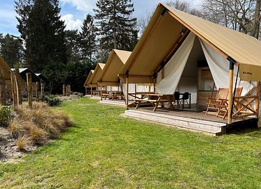 Nice glamping tent in the Utrecht woods - 2