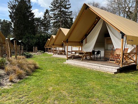 Nice glamping tent in the Utrecht woods - 2
