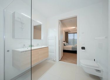 Apartment (6p) with spacious terrace - 11