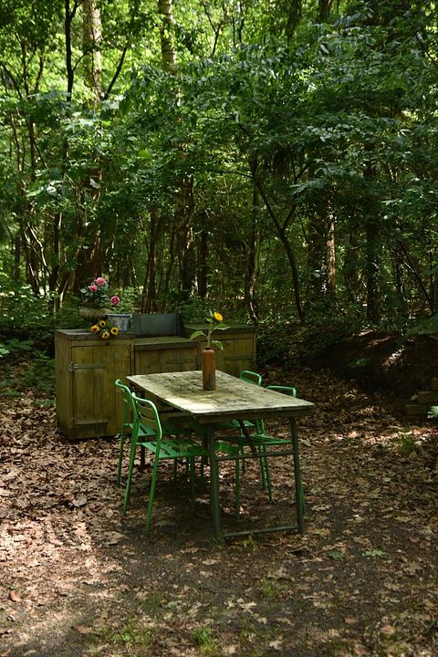 Acogedora caravana gitana en el bosque con total privacidad - 4