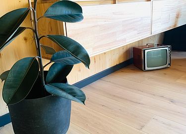 Ferienhaus in der Natur (4 Personen) mit eigenem Garten  - 11