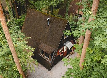 Sfeervol boshuisje in de Belgische natuur - 3