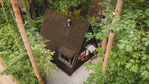 Sfeervol boshuisje in de Belgische natuur - 3