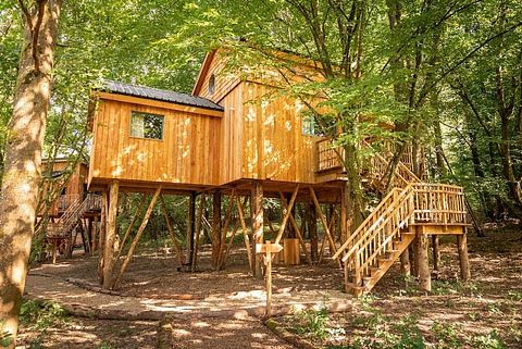 Boomhut (4p) met hottub in de Ardennen - 4