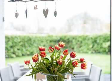 Holidays on the Zeeland island of North Beveland - 25