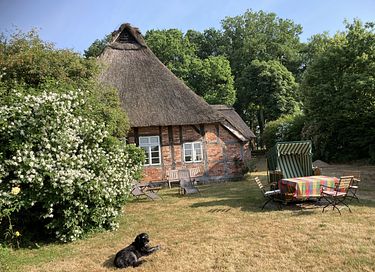 Prachtige cottage in Duitsland - 2