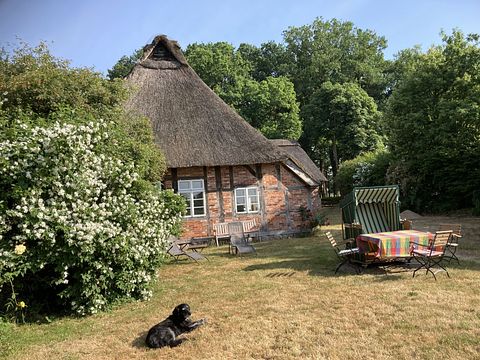 Prachtige cottage in Duitsland - 2
