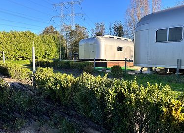 Retro caravan met groot terras - 18