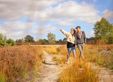 Luxury lodge for two on the Veluwe - 33