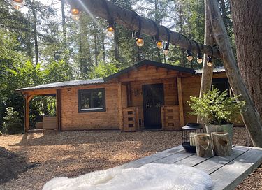 Tough luxury Scandinavian forest lodge on Veluwe - 35