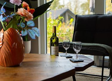 Duurzaam vakantiehuis met een sauna - 6