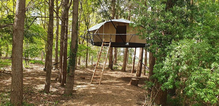 Unique glamping tent high among the trees - 1