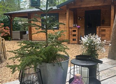 Tough luxury Scandinavian forest lodge on Veluwe - 28