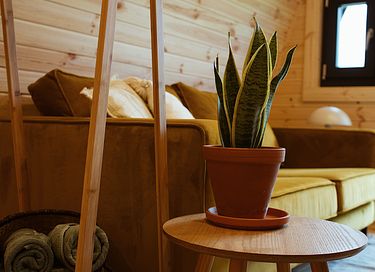 Houten Glamping Pod met eigen Hottub - 9