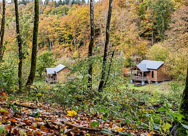 Chalet confortable avec poêle à bois dans les Ardennes - 15