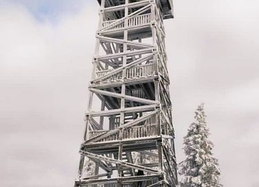 Appartement à l'orée de la forêt pour 2 personnes - 31