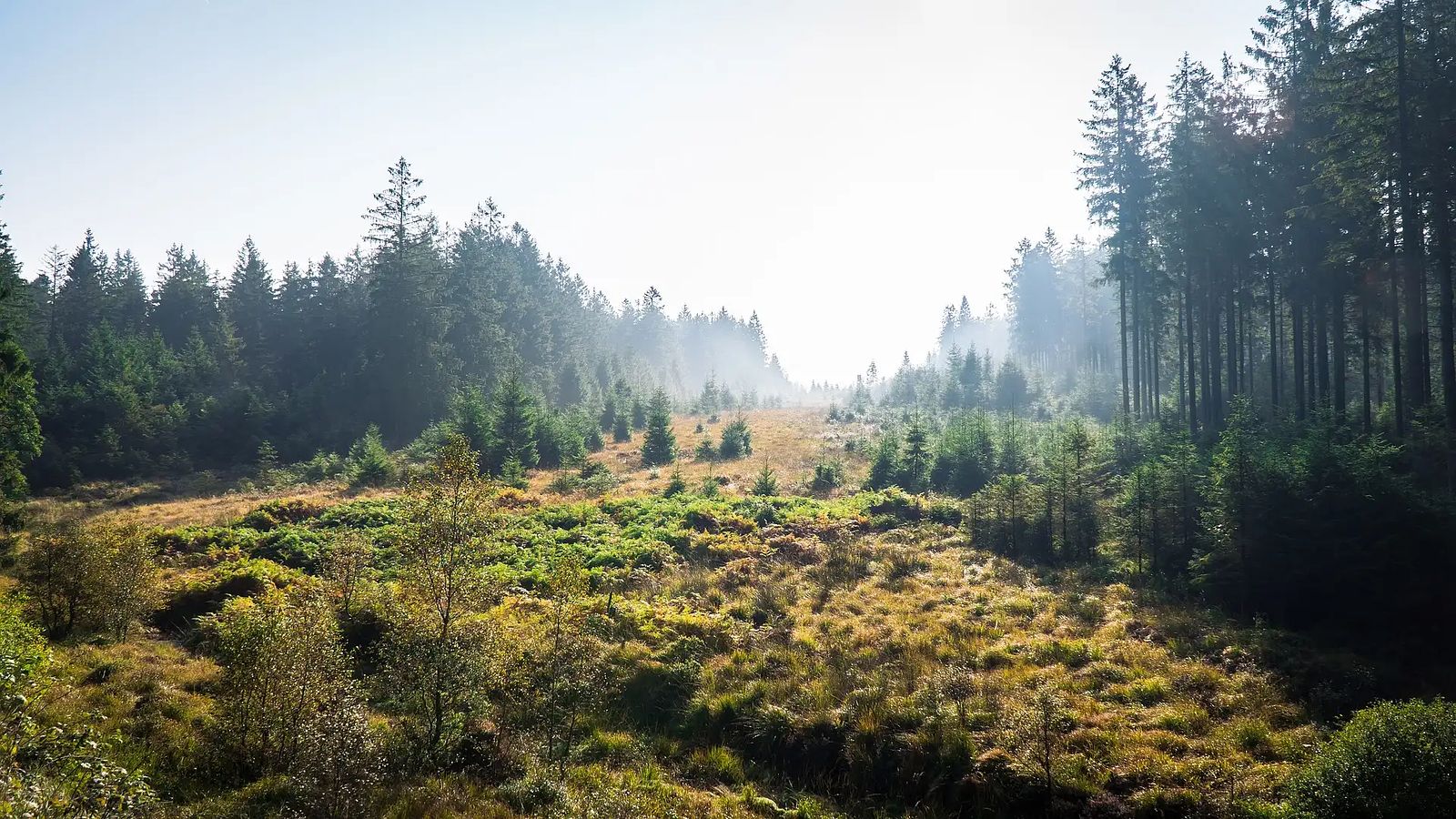Hvorfor »slow travel« er den trend, du ikke må gå glip af