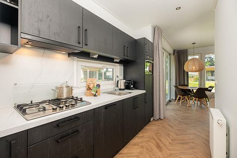 Une tiny house accueillante pour les chiens à Twente - 3
